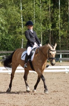 © Filippa Westerlund 