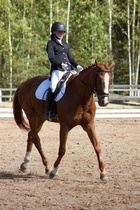 © Filippa Westerlund 