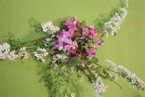 © Maiju Kaarsalo-Koskela