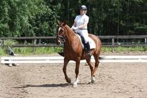 Sari Nurmi - Petrus
© Anna K