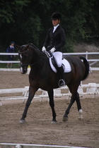 Teresa Pollari – Victor (rekisterinimeltään Victor vd Kiekenshoef) © Rondy Stenman / Teresa Pollari