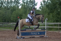 Kuva Primus / Emilia Alamäki