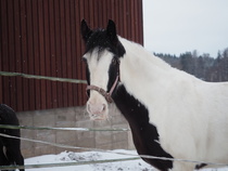 © Fanni-Lotta Haataja