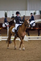 © Filippa Westerlund