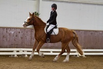 © Filippa Westerlund