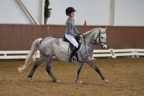 © Filippa Westerlund