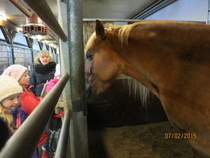 Tarja. © Anu Helomaa