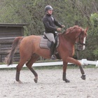 Teemu ja Seppo treenileirillä Saksassa keväällä 2017, kuva Anne Keinonen.