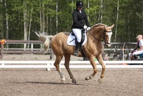 Viia Viitanen - Hovihar
© Anna K