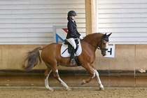 Kuva Primus / Emilia Alamäki