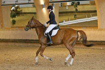 Kuva Primus / Emilia Alamäki