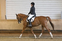 Kuva Primus / Emilia Alamäki