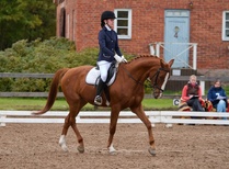 © Filippa Westerlund