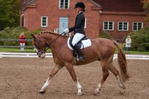 © Filippa Westerlund