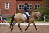 © Filippa Westerlund