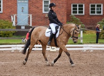 © Filippa Westerlund