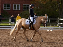 © Filippa Westerlund