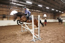 Heidi Junkkarinen ja Danny estevalmennuksessa, kuva Leila Rantanen.