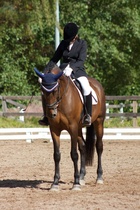 © Filippa Westerlund 