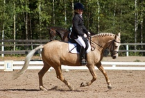 © Filippa Westerlund 