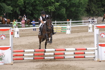 Milla Himberg – Osborne (rekisterinimi Otto-Osborn) © Rondy Stenman / Teresa Pollari