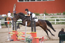 Milla Himberg – Osborne (rekisterinimi Otto-Osborn) © Rondy Stenman / Teresa Pollari