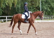 © Filippa Westerlund 