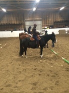 Alkukaarrossa Iiris ja Rudi, kuva Malla Paajanen.