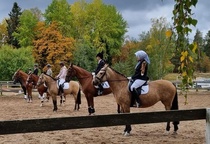 Seniorihubertus 2022. Kuva Maarit.