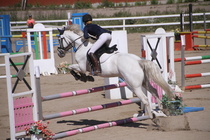 Hanna Kanerva - Silver (rekisterinimeltään Silver Promise) © Rondy Stenman / Teresa Pollari