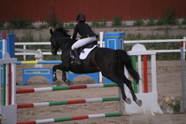 Jeanette Tinnis - Rex (rekisterinimi Rekets) © Rondy Stenman / Teresa Pollari