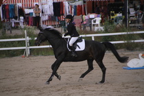 Jeanette Tinnis - Rex (rekisterinimi Rekets) © Rondy Stenman / Teresa Pollari