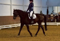 © Filippa Westerlund