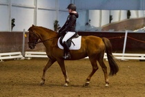 © Filippa Westerlund