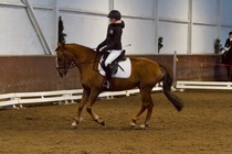 © Filippa Westerlund