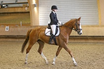 Kuva Primus / Emilia Alamäki