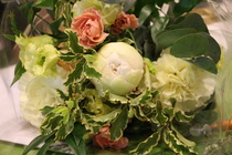 © Maiju Kaarsalo-Koskela