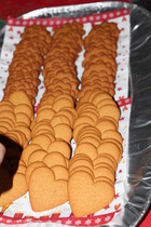 Kuva Maiju Kaarsalo-Koskela