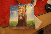 Kuva Maiju Kaarsalo-Koskela