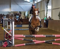 © Filippa Westerlund