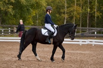 © Filippa Westerlund