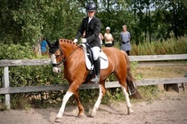 Elokuun kisat 2022. Kuva Maya.