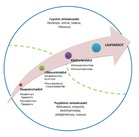 Rastsastajan fyysiset ominaisuudet.