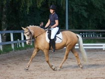 © Filippa Westerlund