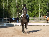 © Filippa Westerlund