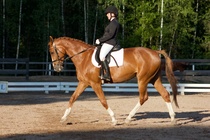 © Filippa Westerlund