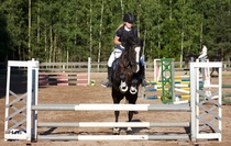 © Filippa Westerlund