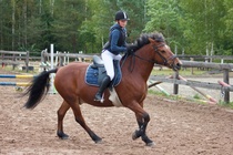 © Filippa Westerlund 