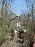 Kuvaa Unkarista ratsastusretkeltä keväällä 2015, kuva Riitta Kosonen.