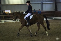 HeC, Bruno ja Oona
(c) Sara Haanpää